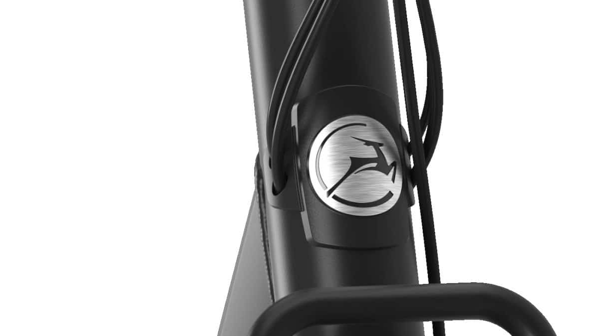 GAZELLE - Bloom C310 | 2026 - Afbeelding 3