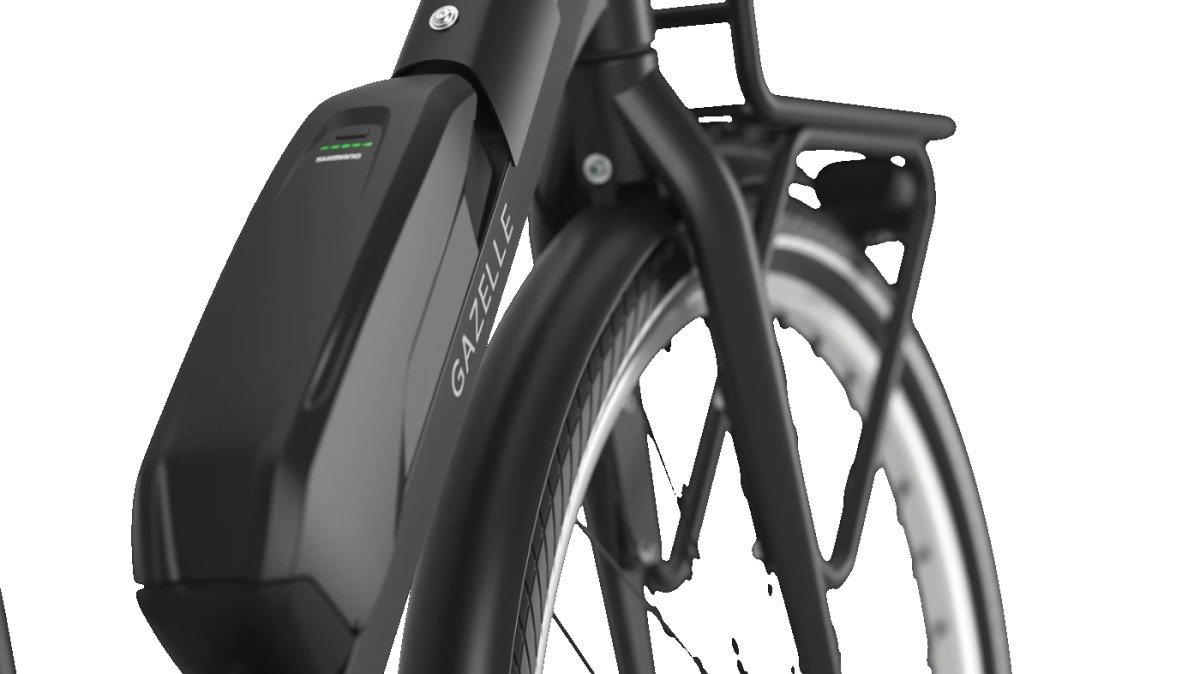 GAZELLE - Bloom C310 | 2026 - Afbeelding 5