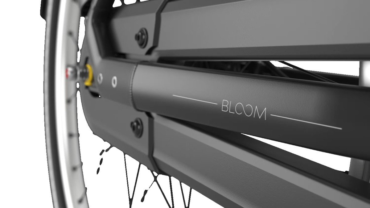 GAZELLE - Bloom C310 | 2026 - Afbeelding 2