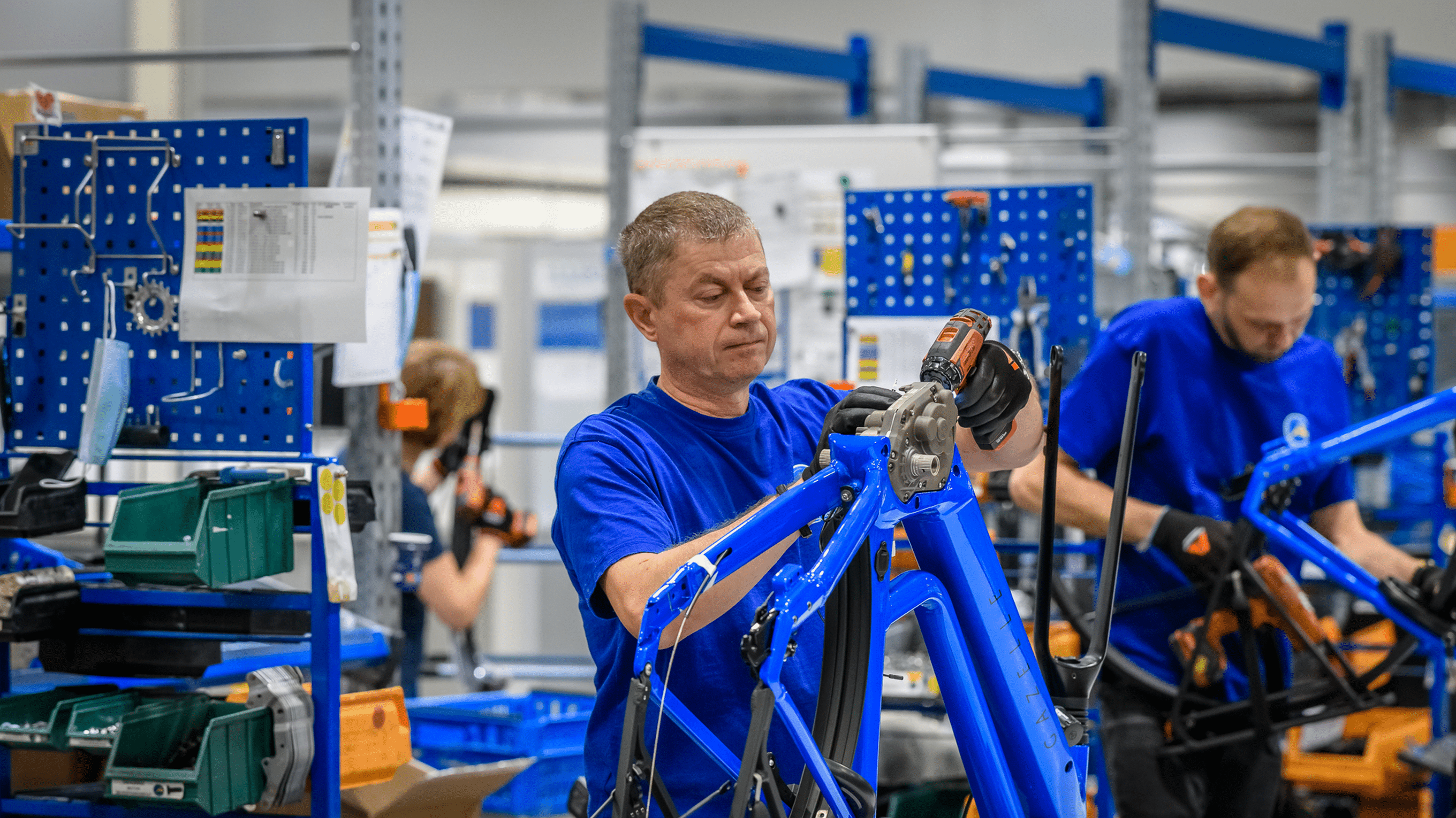 Usine gazelle